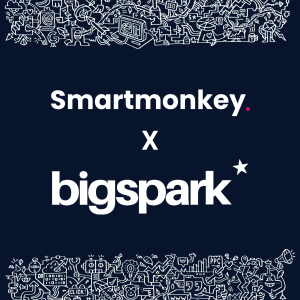 Smartmonkey x bigspark